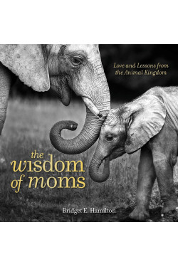 The Wisdom of Moms: Love and Lessons From the Animal Kingdom by Hamilton, Bridget E.-Hardcover