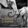 The Wisdom of Moms: Love and Lessons From the Animal Kingdom by Hamilton, Bridget E.-Hardcover