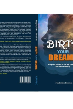 Birth Your Dreams by Najibullah Ibrahim - Paperback 