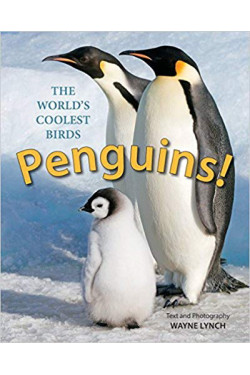 Penguins!: The World's Coolest Birds by Lynch, Wayne (Pht)-Hardcover