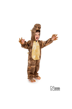 Stegosaurus