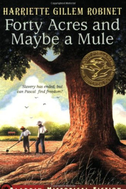 Forty Acres and Maybe a Mule by Robinet, Harriet Gillem