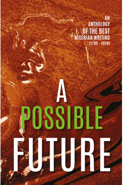 A Possible Future: An Anthology of the Best Nigerian Writing by Farafina Trust - Paperback