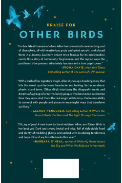 Other Birds: A Novel by Sarah Addison Allen - Hardback - August 30, 2022