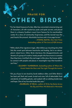 Other Birds: A Novel by Sarah Addison Allen - Hardback - August 30, 2022