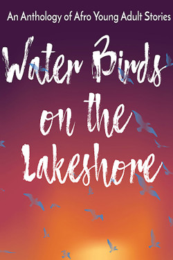 Water Birds on the Lakeshore by Zukiswa Wanner - Paperback