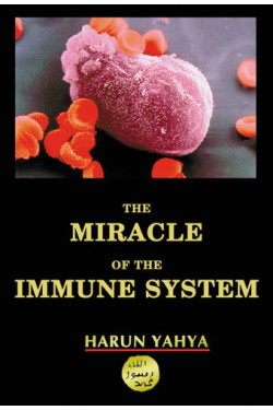 The Miracle in the Immune System by Harun Yahya- Paperback