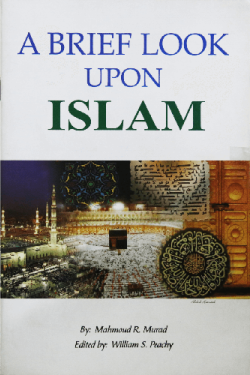 A Brief look upon Islam by Mahmoud R. Murad - Paperback