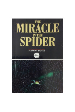 Miracle in the Spider by Harun Yahya - Paperback