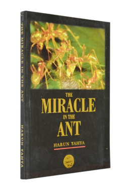 The Miracle in the Ant (colour pictures)