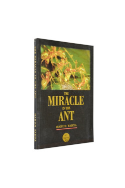 The Miracle in the Ant (colour pictures)